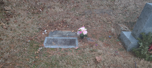 Flower delivery for Tanya Lenore Curry Vance