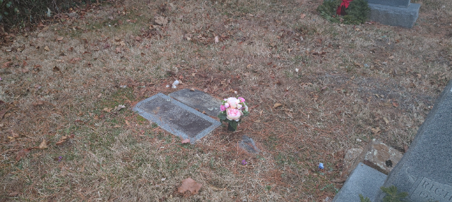 Flower delivery for Tanya Lenore Curry Vance
