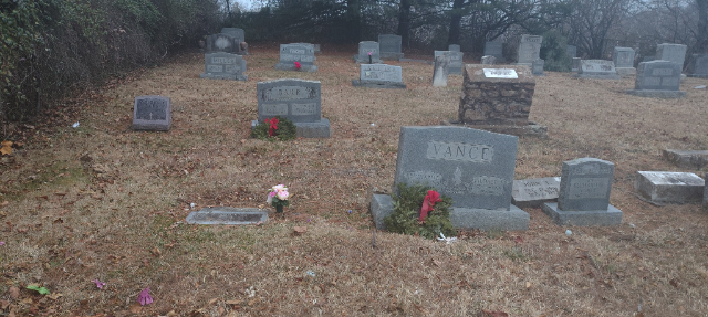 Flower delivery for Tanya Lenore Curry Vance