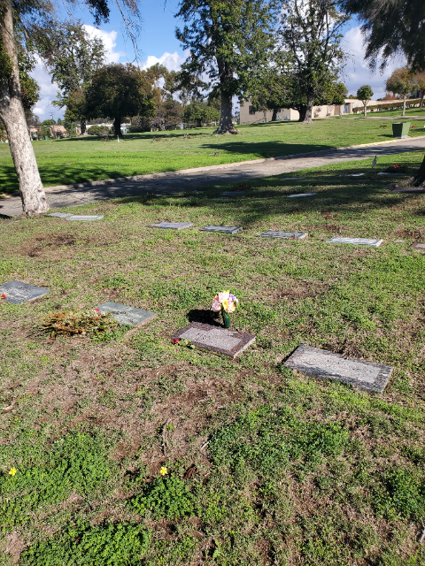 Flower delivery for Marie Rita Drake Irwin