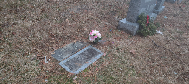 Flower delivery for Tanya Lenore Curry Vance