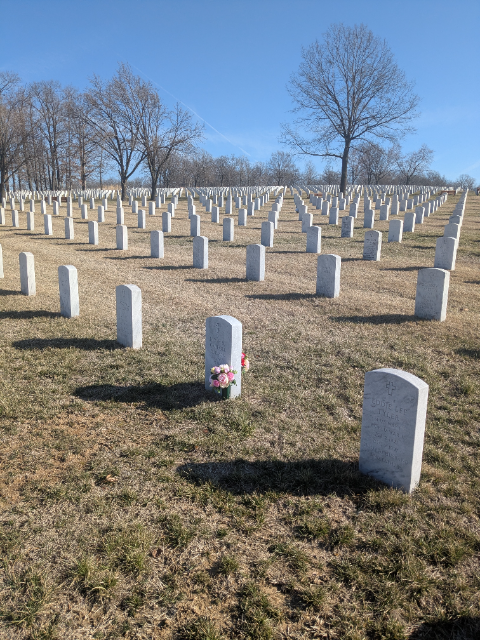 Flower delivery for Richard Carroll Seibman