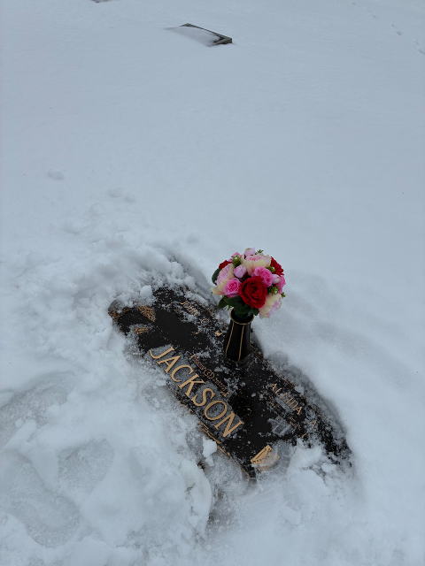 Flower delivery for Aleida Ann Jackson