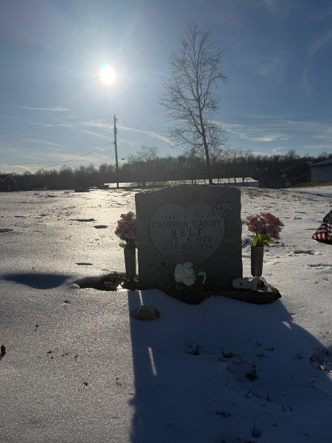 Flower delivery for Candida Darlene Belt