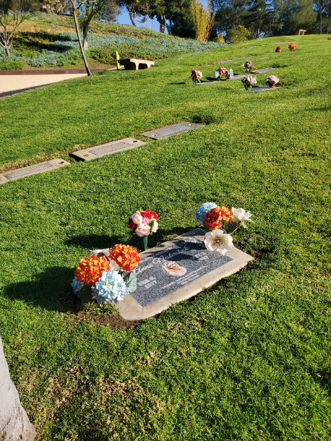 Flower delivery for Ganna Anatilyivna Nesterchuk Houben