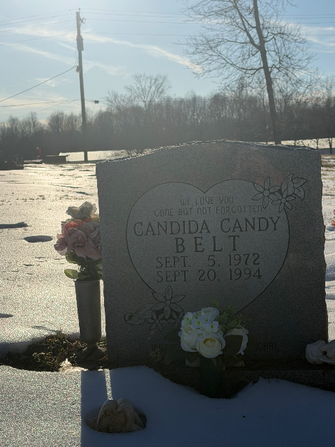 Flower delivery for Candida Darlene Belt