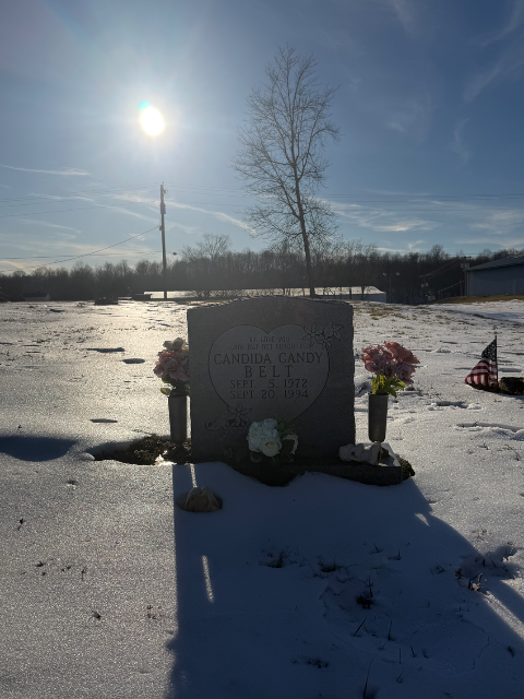 Flower delivery for Candida Darlene Belt