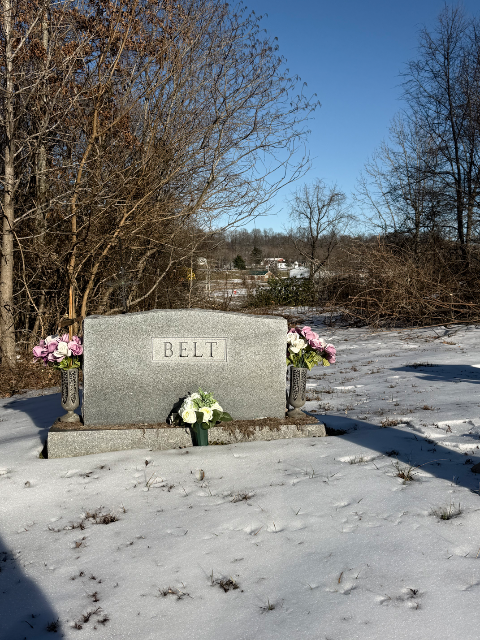 Flower delivery for Candida Darlene Belt
