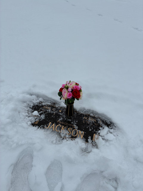 Flower delivery for Aleida Ann Jackson