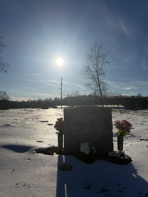 Flower delivery for Candida Darlene Belt