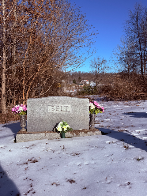 Flower delivery for Candida Darlene Belt