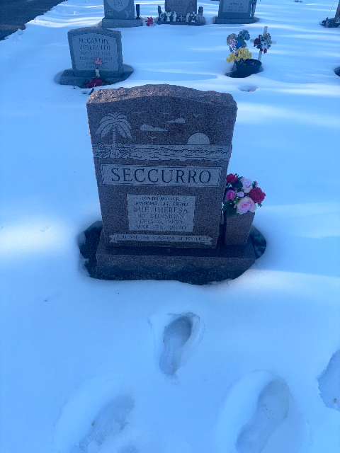 Flower delivery for Sue Seccurro