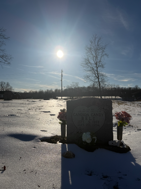 Flower delivery for Candida Darlene Belt