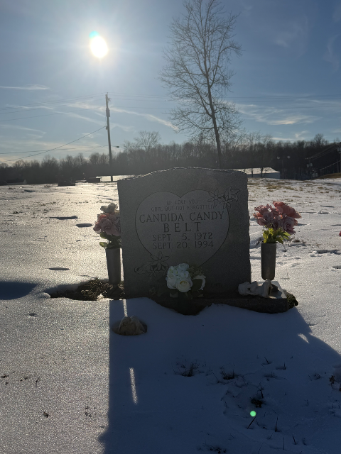 Flower delivery for Candida Darlene Belt