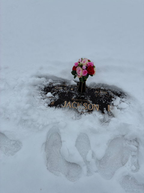 Flower delivery for Aleida Ann Jackson