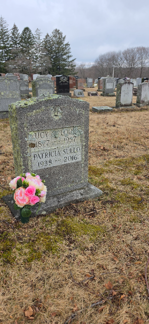 Flower delivery for Patricia Shields Sullo