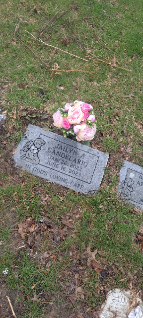 Flower delivery for Jailyn Amelia Candelario