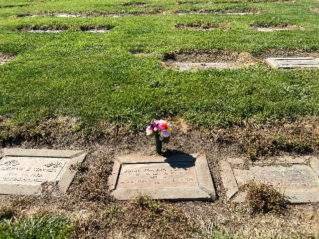 Flower delivery for John Edmund Torrey