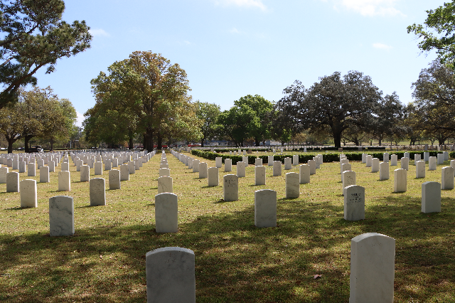 Flower delivery for Kenneth Jose Tolles