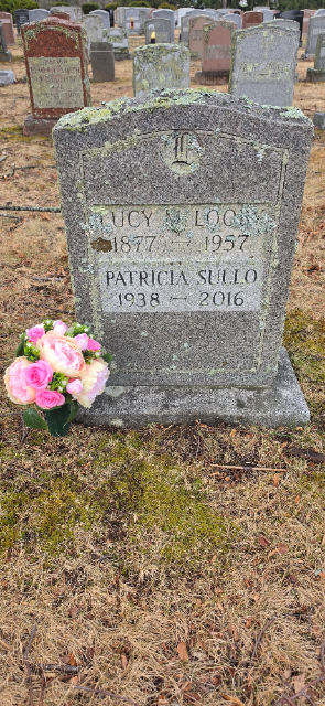 Flower delivery for Patricia Shields Sullo