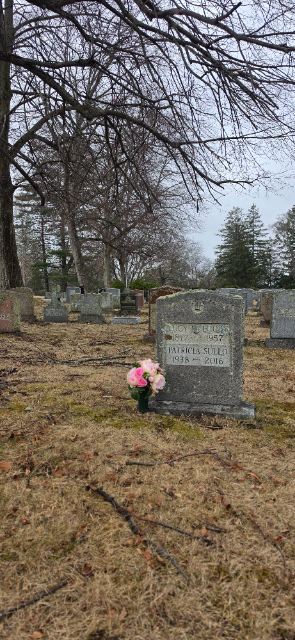 Flower delivery for Patricia Shields Sullo