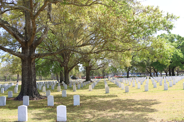 Flower delivery for Kenneth Jose Tolles