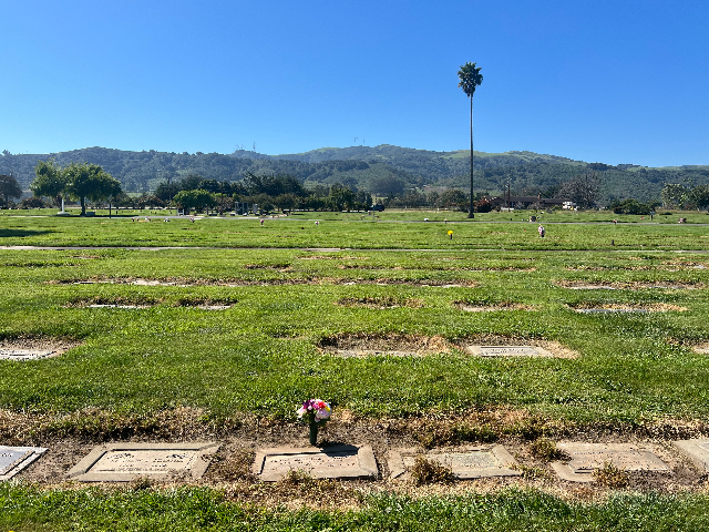 Flower delivery for John Edmund Torrey