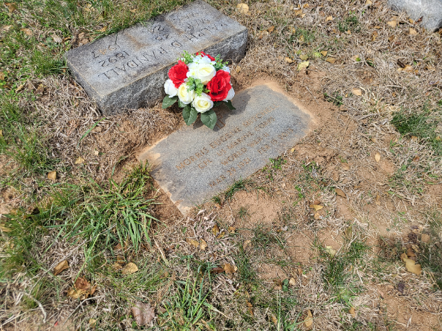 Flower delivery for Morris Mitchell