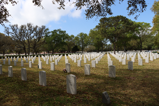 Flower delivery for Kenneth Jose Tolles