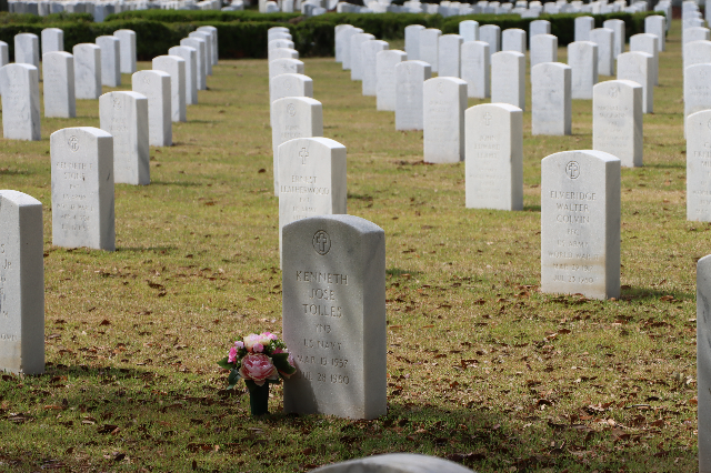 Flower delivery for Kenneth Jose Tolles