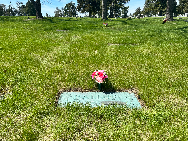 Flower delivery for Frieda Margaret Balluff