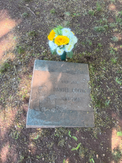 Flower delivery for Daniel Colon