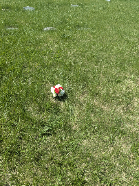 Flower delivery for Henrietta Piggs