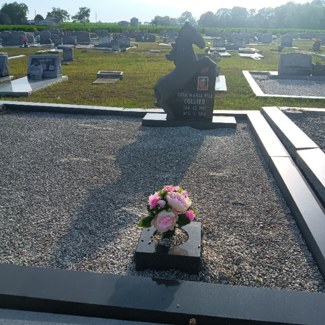 Flower delivery for Gina Marie Collier