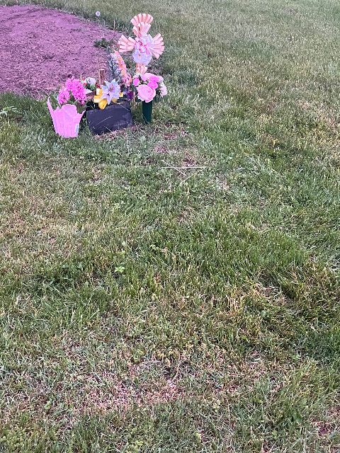 Flower delivery for Susan McCorristin