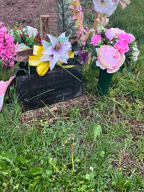 Flower delivery for Susan McCorristin