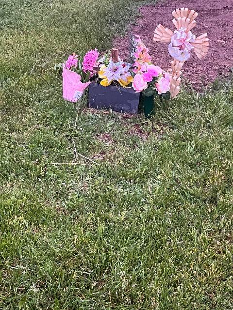 Flower delivery for Susan McCorristin