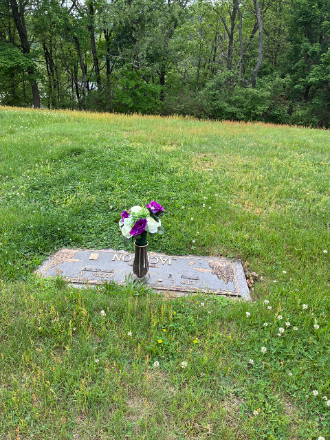 Flower delivery for Aleida Ann Jackson