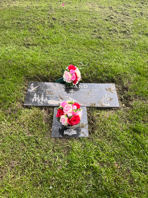 Flower delivery for MaryLou Uzeta Holland
