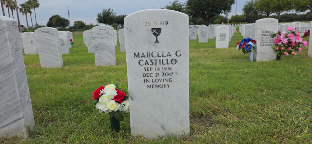 Flower delivery for Marcela G. Castillo