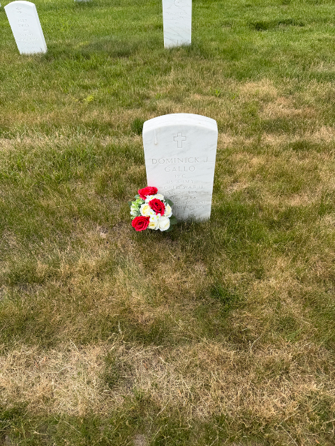 Flowers for Dominick J Gallo