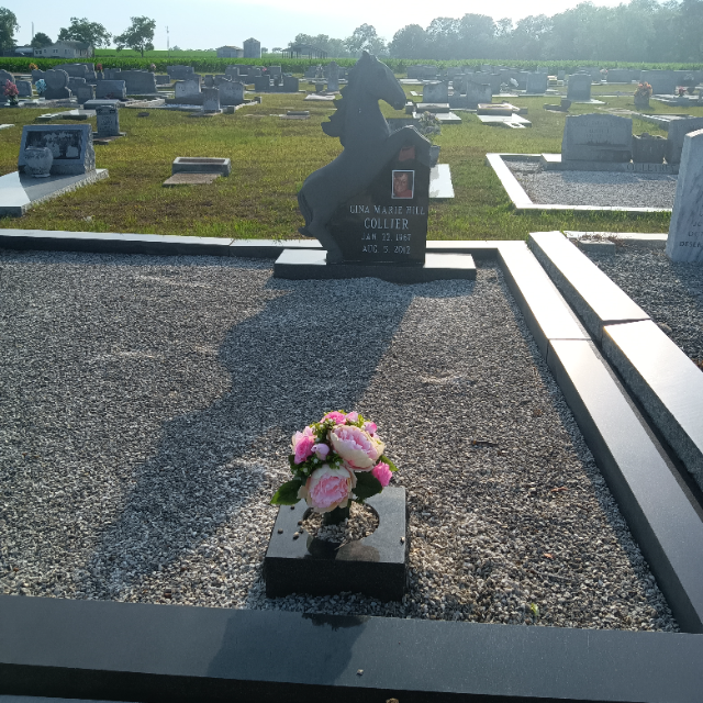 Flower delivery for Gina Marie Collier