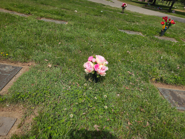 Flower delivery for Barbara Oliver