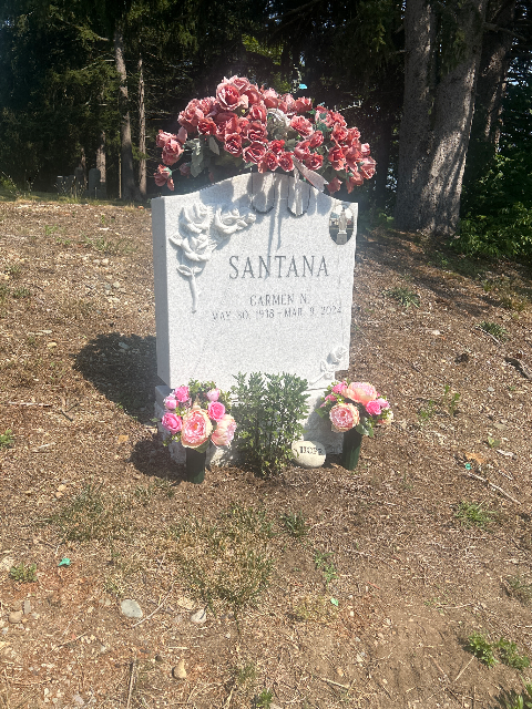 Flower delivery for Carmen N. Santana
