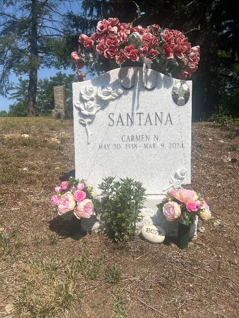 Flower delivery for Carmen N. Santana