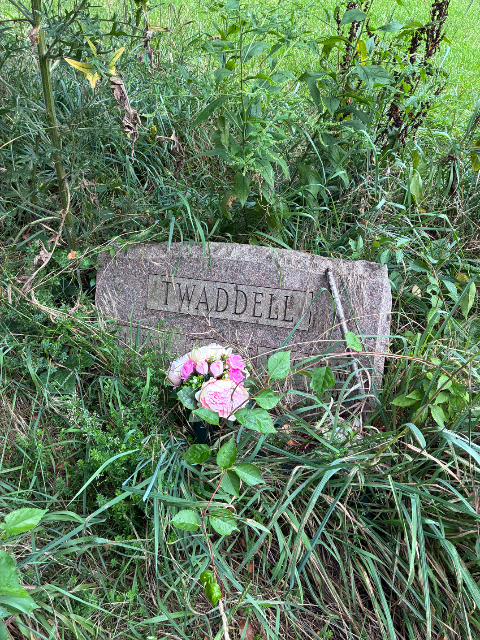 Flower delivery for Dorothy M. Twaddell