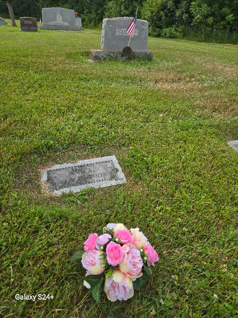 Flowers for Eva L George
