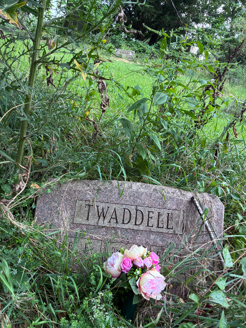 Flower delivery for Dorothy M. Twaddell