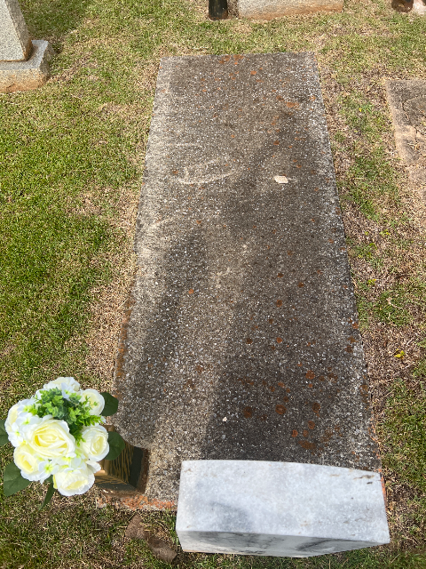 Flowers for Henry Lee Lee Turk