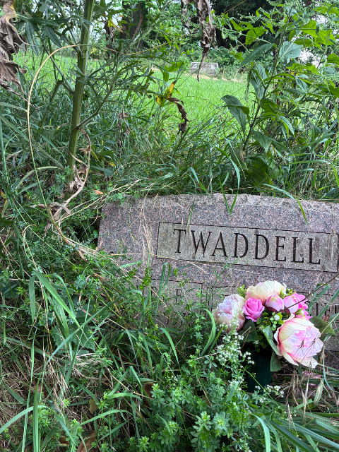Flower delivery for Dorothy M. Twaddell